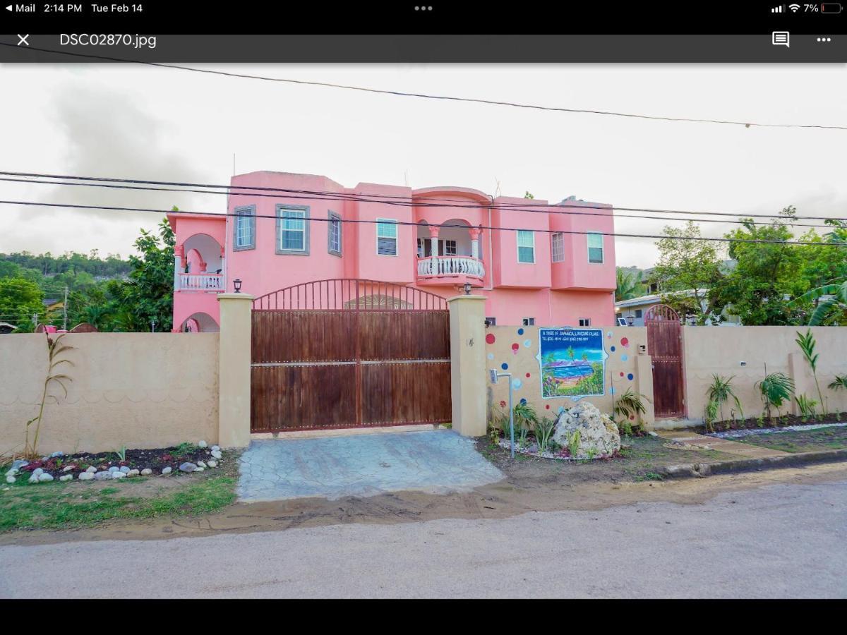 Apartment A Taste Of Jamaica Lavern's Place Ocho Rios