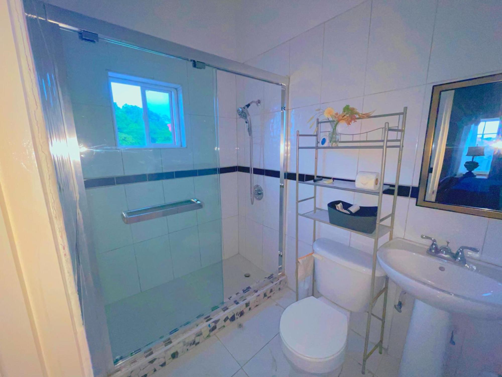 Apartment A Taste Of Jamaica Lavern's Place Ocho Rios