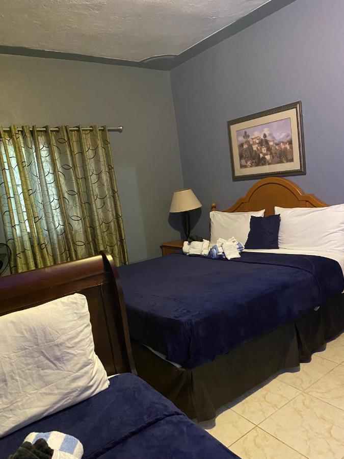 A Taste Of Jamaica Lavern's Place Apartment